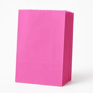Bright Pink Paper Treat Bags, 12-Pack