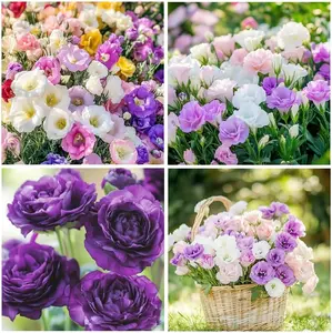 200 Pcs Mixed Lisianthus Flower Seeds for Planting Outdoor-Perennial Eustoma Cut Flower Plant Garden Home Ornamental Non-GMO