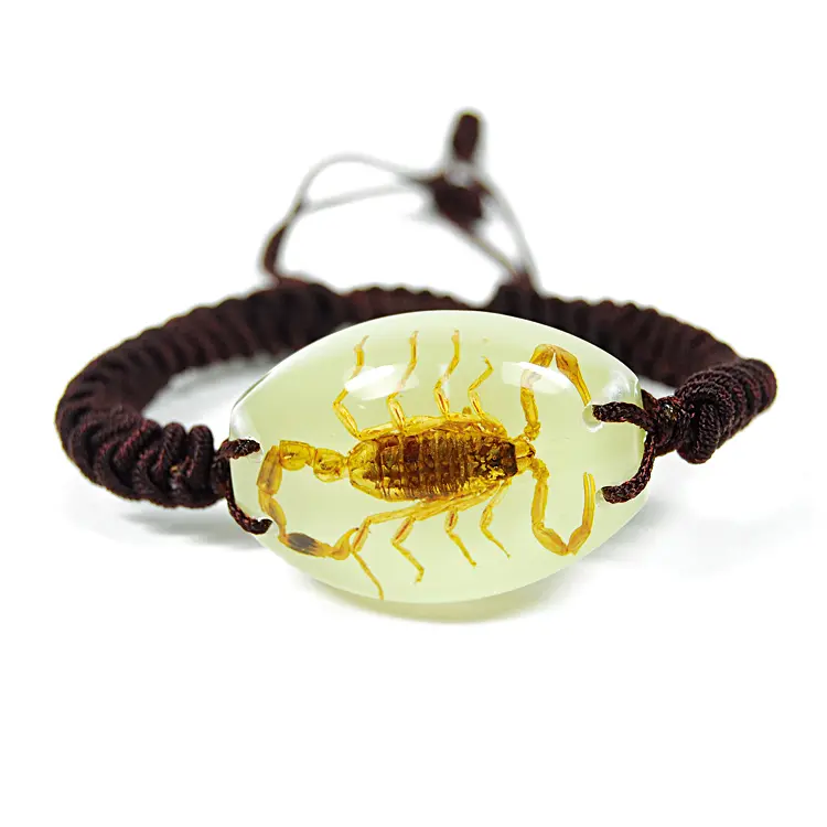 Glow in the Dark Oval Shaped Pendant Bracelet with Real Brown Scorpion