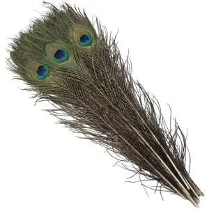 Peacock Feathers 16-18Inch for  Decor Flower Arrangement Centerpieces Vases Decorations Costumes Hats Crafts Christmas Tree Ornament (10pcs - Upgrade)