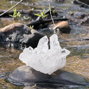 Yadi’s order Yadi’s order