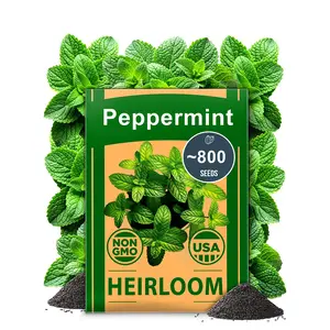 Seeds for Planting Peppermint Seeds Vegetables Pack 800Seeds Non-GMO, Heirloom Mint Seeds for Planting Gardening Grow Peppermint Plants in Indoors or Outdoors