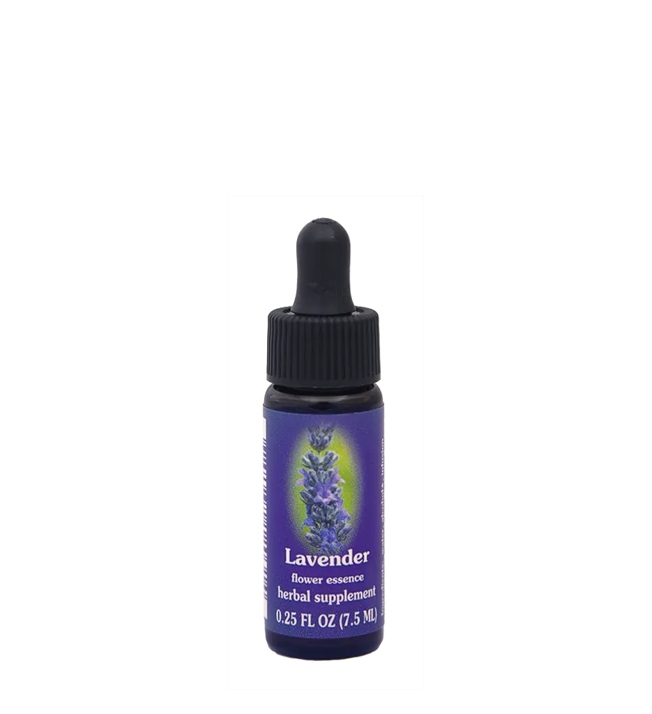 FES Lavender Flower Essence - Health & Wellness Treatment, Aromatherapy Therapy Support for Alternative Medication Needs