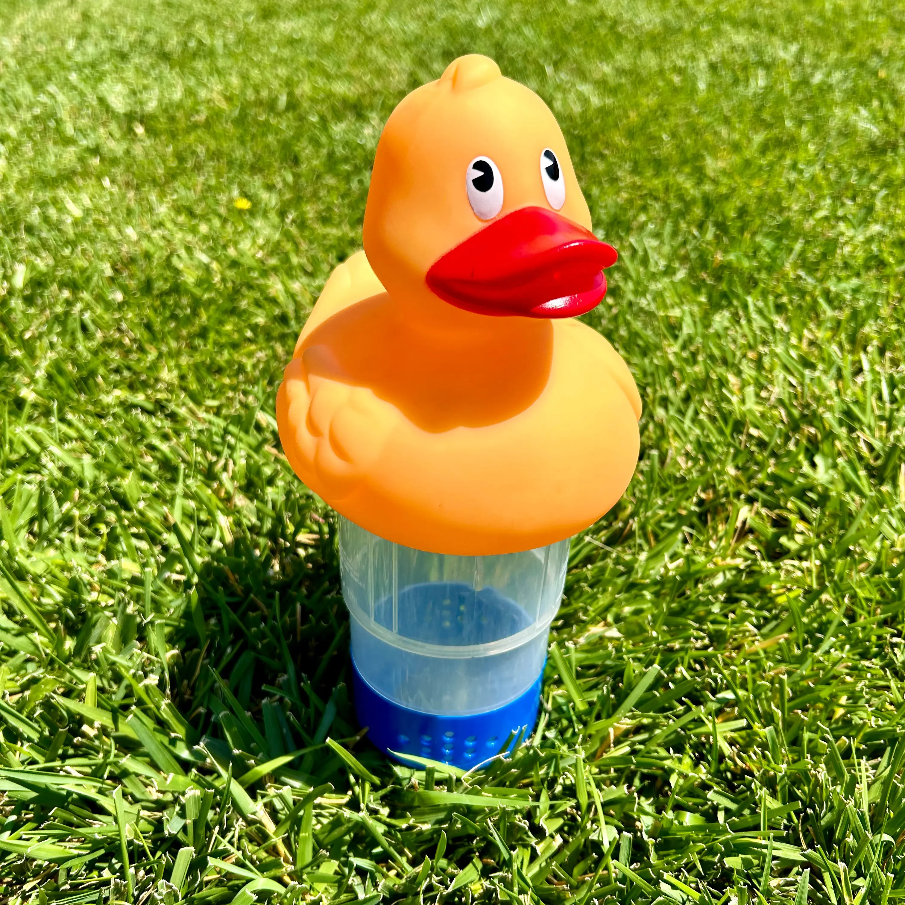 Collapsible Duck Chlorine Dispenser