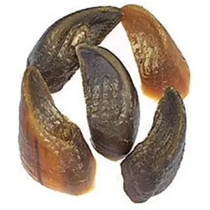 212 MAIN Jones Naturals Beef Hooves Dog Teeth Chews, Bulk Pack for Canine Training & Behavior Support