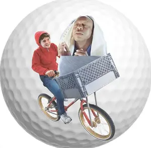 Tiger Woods Golf Balls, 6 Pack Golf Balls, Just dui it Golf Ball