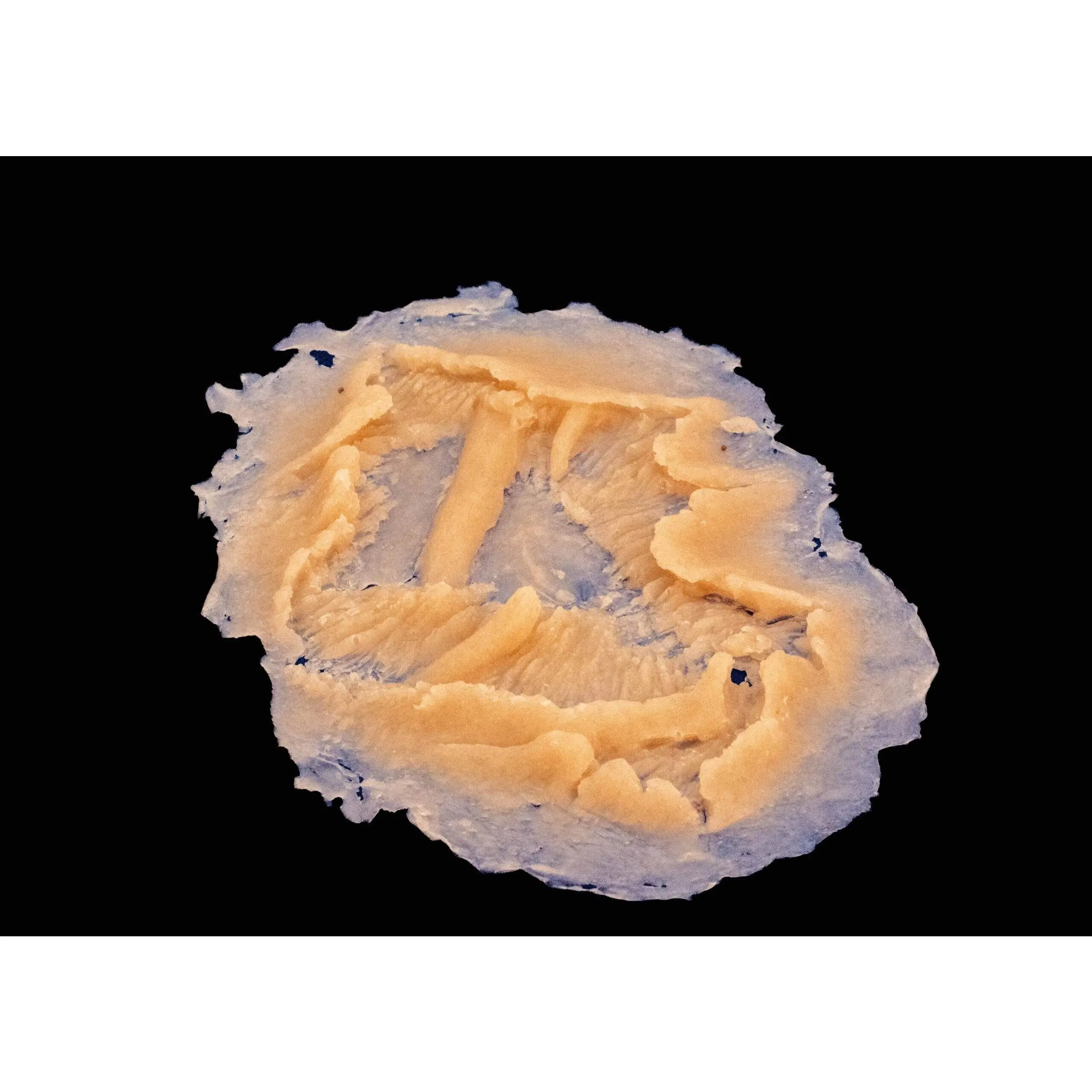 Silicone Prosthetic Medium Laceration