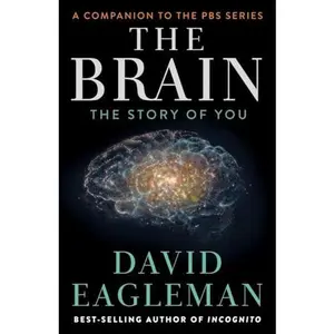 USED-The Brain: The Story of You by Eagleman, David (Hardcover)