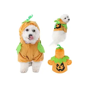 Pumpkin Pet Costume