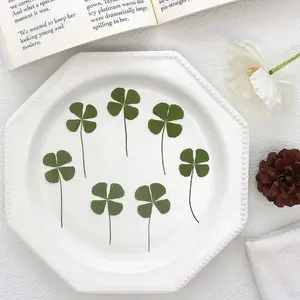12 Lucky Four-Leaf Clover Postcard Set, Cute DIY Handmade, Transparent Back Embossed Material, Natural Charm Amulet Cards, Custom Message Card