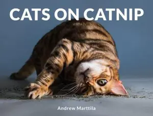 USED-Cats on Catnip by Marttila, Andrew (Hardcover)