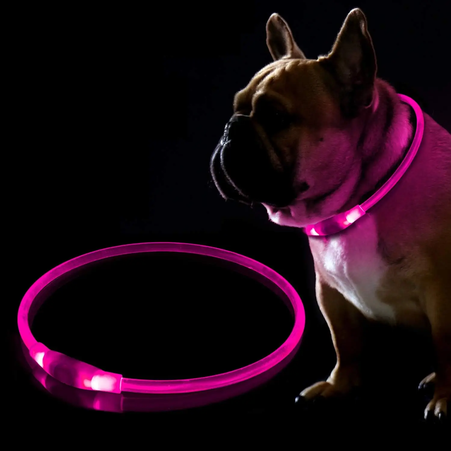 USB Rechargeable LED Dog Collar, Fashionable Glow in The Dark Pet Collar, Pet Supplies for Night Safety, Dog & Cat Accessories
