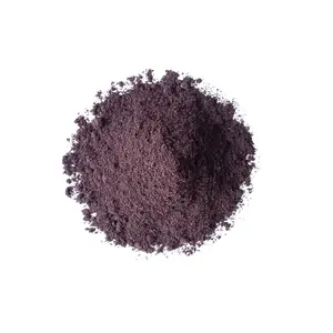 Organic Maqui Berry Powder - by Food To Live