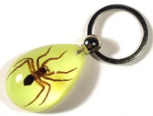 43mm Real Water Spider in Glow in The Dark Lucite Keychain Insect Animal Taxidermy Sample Inside