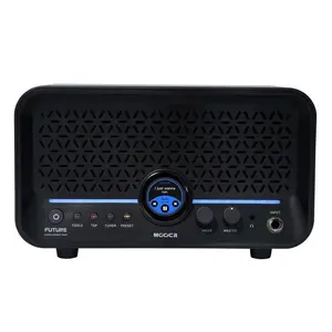 MOOER F15i Li Amp *USA Small Business*