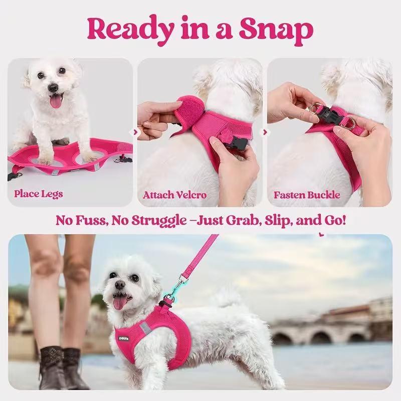 Step-in Mesh Dog Harness & Leash Set
