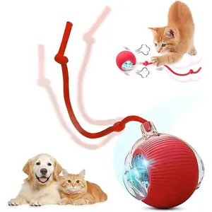 Gift for Pets, Electric Cat Ball Toy with Rope, Interactive Cat Teaser Toy, Kitten Automatic Rolling Ball Toy, Pet Supplies, Dog & Cat Accessories, Cat Toys, Pet Products, Funny Gift