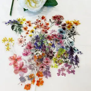 50PCS Transparent Flower Stickers Cute Vintage Floral Clear Wildflower Stickers for Kids Water Bottles Scrapbooking Card Making DIY Crafts for Teens and Adults