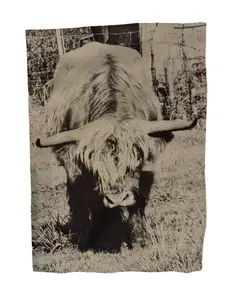J&A Farm Highland Cow Shirt - Men, Women and Child Polyester Crewneck Casual Top with Stylish Design and True to Size Fit