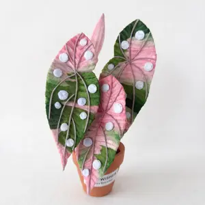 Handcrafted Aglaonema Artificial Flowers for your aesthetic home