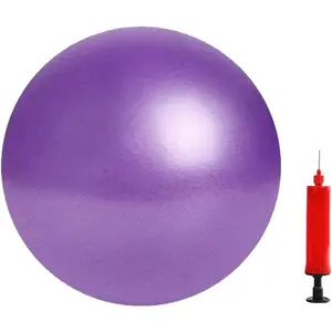 Mini Squishy Balance Exercise Ball for Yoga Barre Fitness & Physical Therapy Home Workouts Includes Pump for Easy Inflation