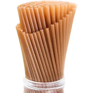 100 count Sugarcane Straws, 8 Inch Sturdy  Plastic Free  Compostable Smoothie Drinking Straws for  Restaurant Beach Parties Not Foggy