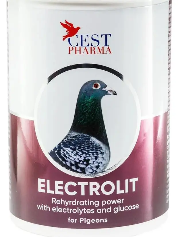 Bird Electrolyte Rehydrating Powder - Electrolytes with Glucose Blend, Pigeons & Pet Bird Hydration, Optimal Health Support Aid
