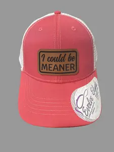 Ponytail, I could be meaner, funny hat