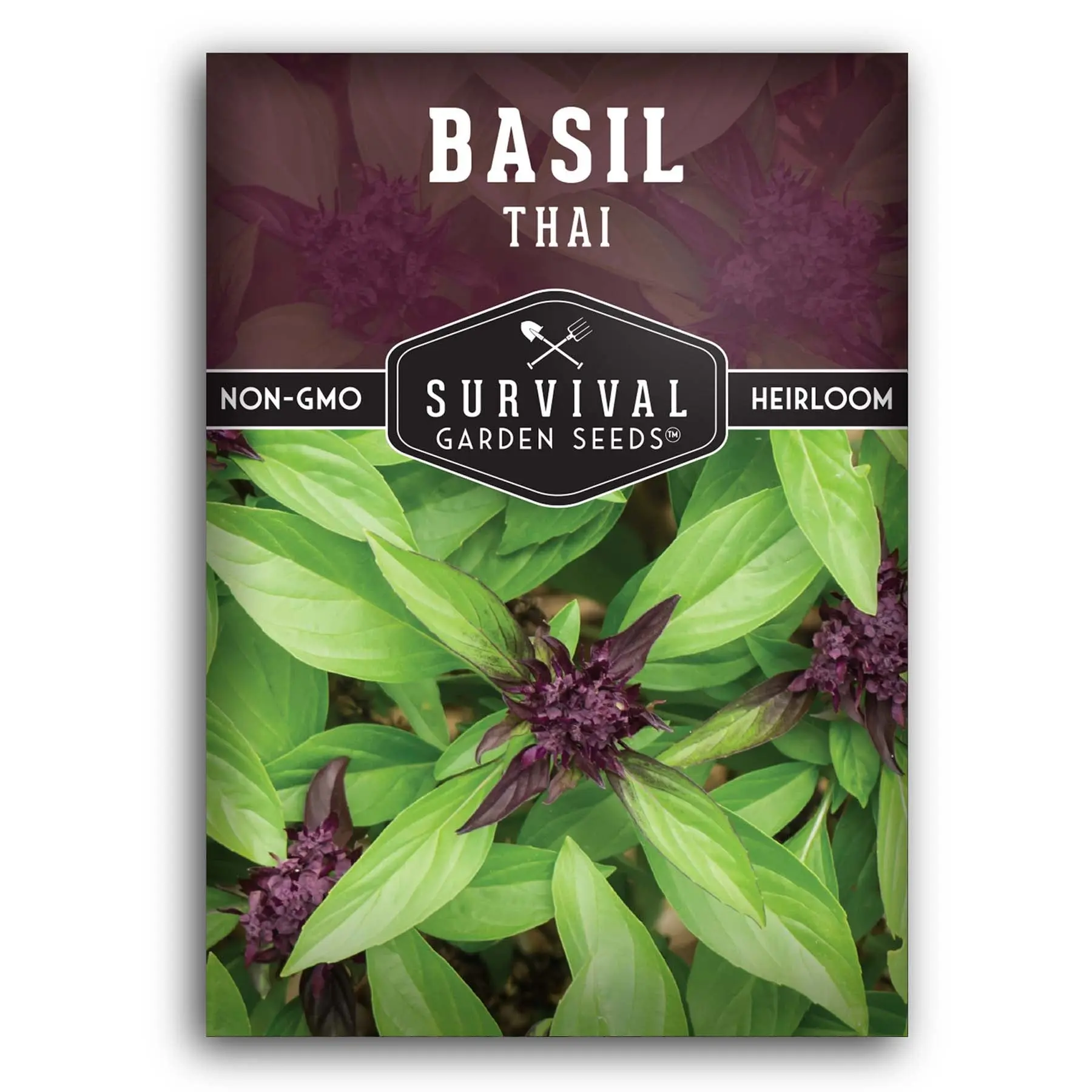 Thai Basil Seed - Non-GMO, Heirloom Herb Seeds for Sustainable Gardening