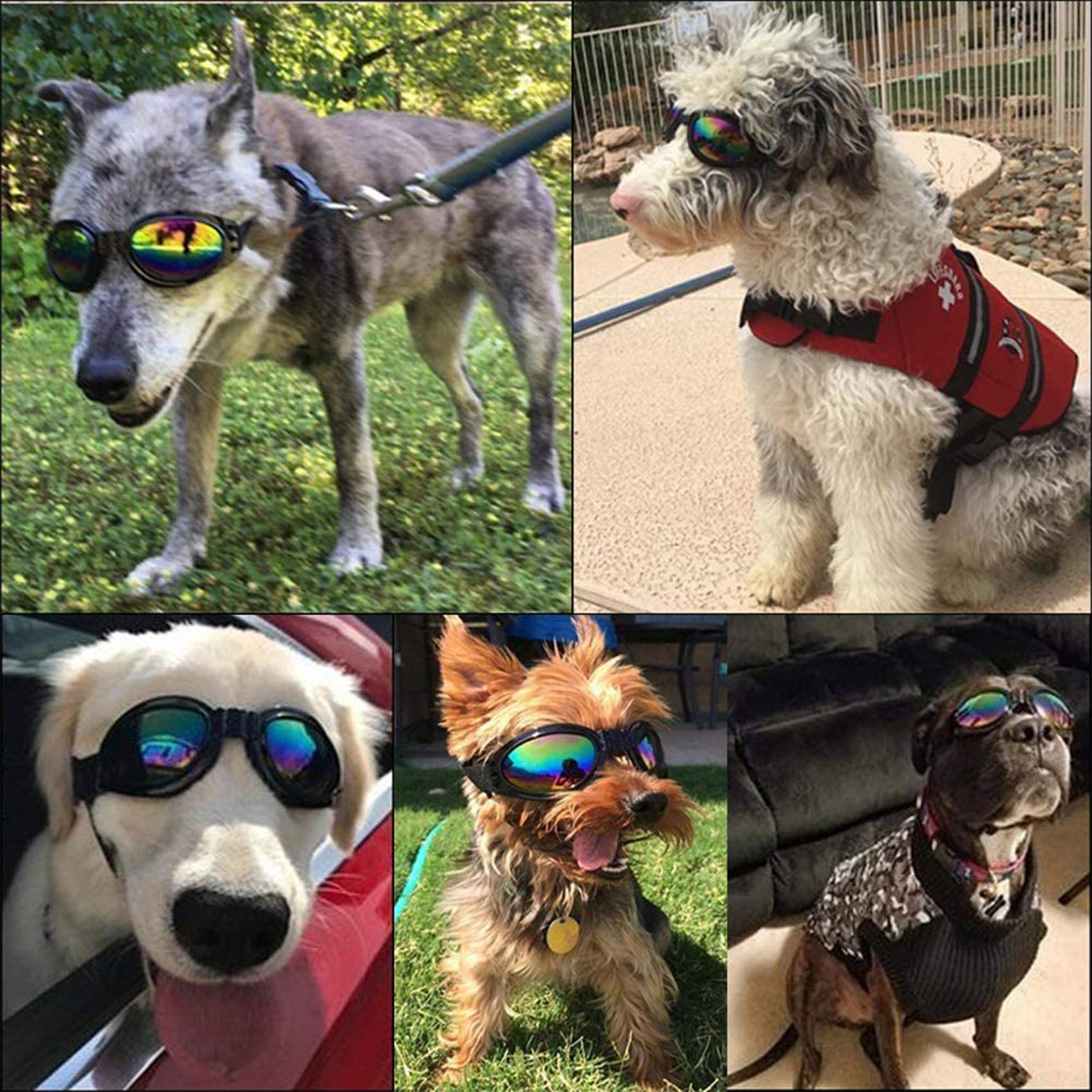 3PCS Dog Goggles Dog Sunglasses Adjustable Strap for Waterproof Windproof UV Protection Sunglasses for Pet, for Go Out Travel Skiing Swim 3PCS Dog Goggles Dog Sunglasses Adjustable Strap for Waterproof Windproof UV Protection Sunglasses for Pet, for Go Out Travel Skiing Swim
