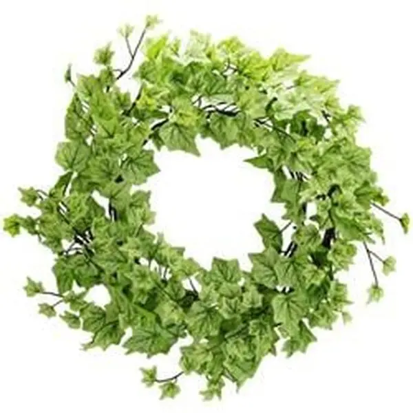 Admired by Nature ABN5W006-LT.GN 18 in. Diameter Round Artificial Ivy Front Door Wreath - 308 Leaves, Light Green, Low Maintenance, All Year Decoration, Door Decoration, Festive Gift