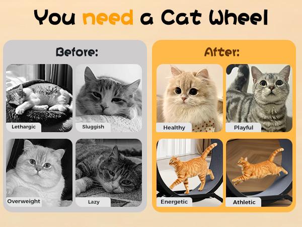 COMHOMA Cat Wheels, 40" Diameter, Large Cat Exercise Wheel for Indoor Cats Cat Treadmill Metal with Detachable Carpet & Teaser/Stickers Ultra-Quiet Scroll Wheel with Latch Safe and Stable