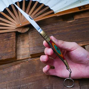 Wooden handle, stainless steel knife, fruit knife