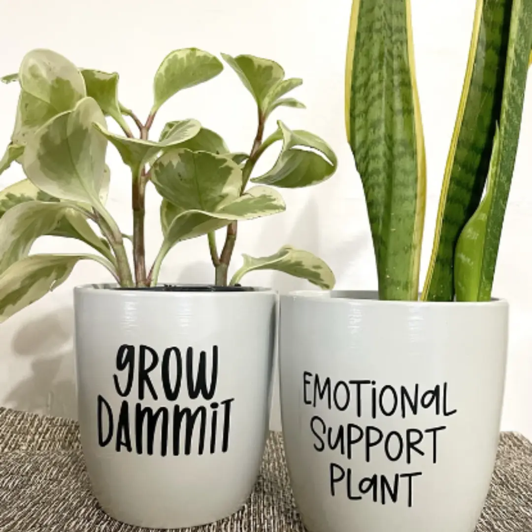 Planter Sticker | Decal | Funny Planter Label