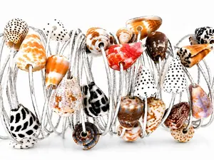 Shell Bangle Bracelet
