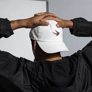 DL Collection Special Edition Full Color Embroidered Swallow Dad Hat