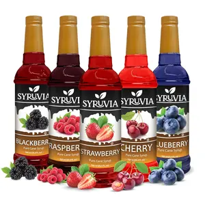 Syruvia Fruit Syrup Variety Pack – Strawberry, Raspberry, Blackberry, Cherry & Blueberry – 25.4 fl oz Bottles – Ideal for Lattes & More! (5-Pack)
