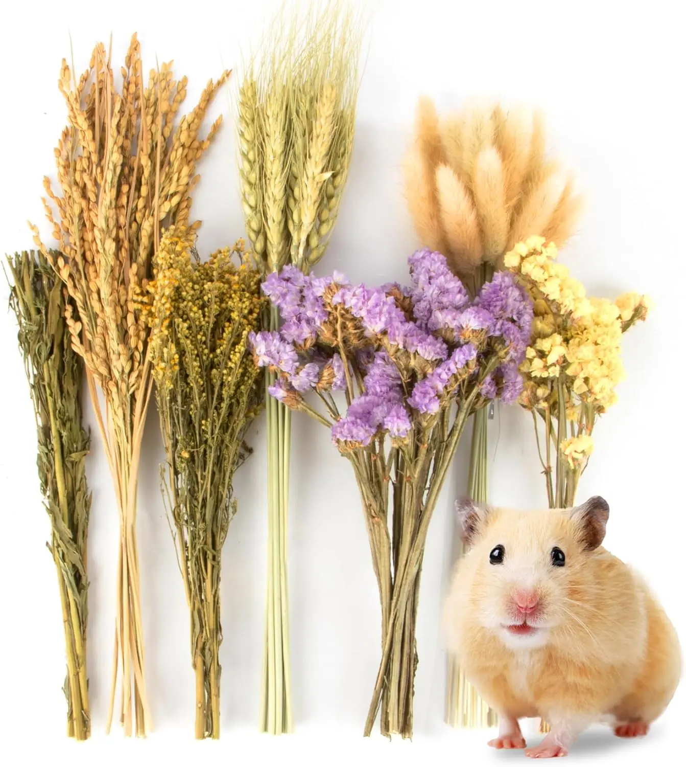 Sukh 60PCS Hamster Sprays - Natural Flower Herb Bedding & Habitat Decor | Natural Grain and Herb Sprays for Syrian & Dwarf Hamsters, Gerbils, Rabbits and Small Pets, for Foraging and Cage Enrichment