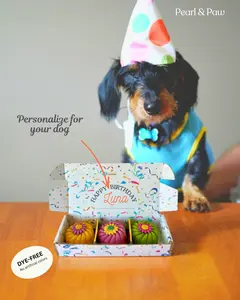 Forget The Biscuit, Gourmet Dog Truffles Customizable Birthday Box - Dye Free