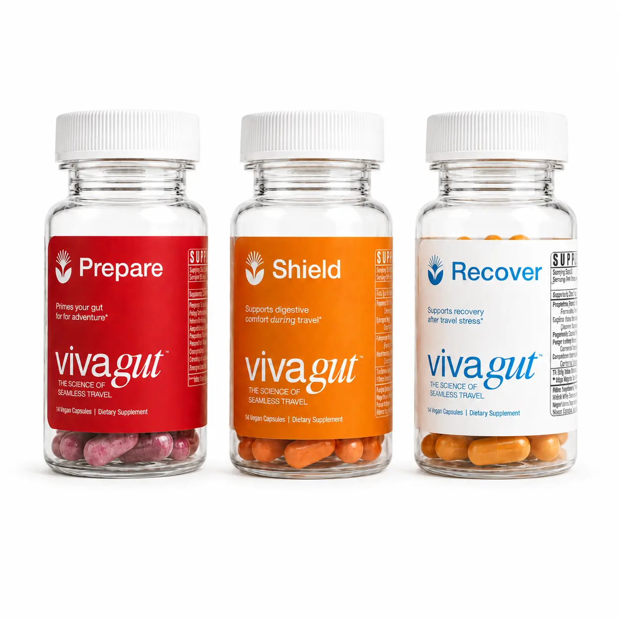 VIVAGUT Digestive Traveler System | 3 Bottle Probiotic Travel Kit | Prepare, Shield, Recover | Saccharomyces boulardii, Bacillus coagulans, Inulin, Zinc L-Carnosine, Ginger, Curcumin | Gut Support for Travel | 14 Servings per Bottle | Made in USA.