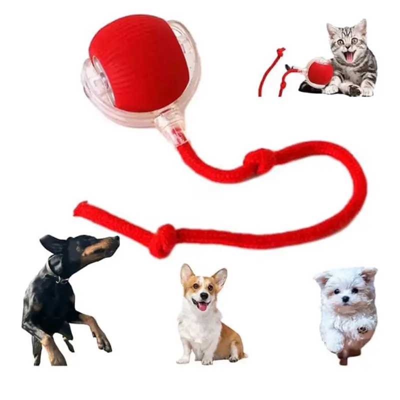 Interactive Pet Toy for Cats and Dogs