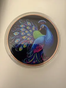 Majestic Peacock Colorized Copper Round toy