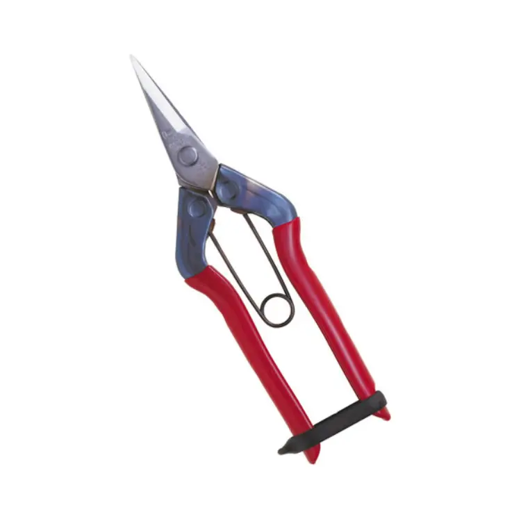 Chikamasa T500s Scissors