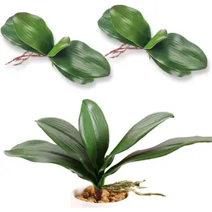 2Pack Orchid Leaves Artificial Artificial Orchid Leaves Real Touch Phalaenopsis Stems Faux Cymbidium Flower Foliage Green Artificial Orchid Bulk Lifelike Orchid Leaf Decor Faux Orchid 8 Inches