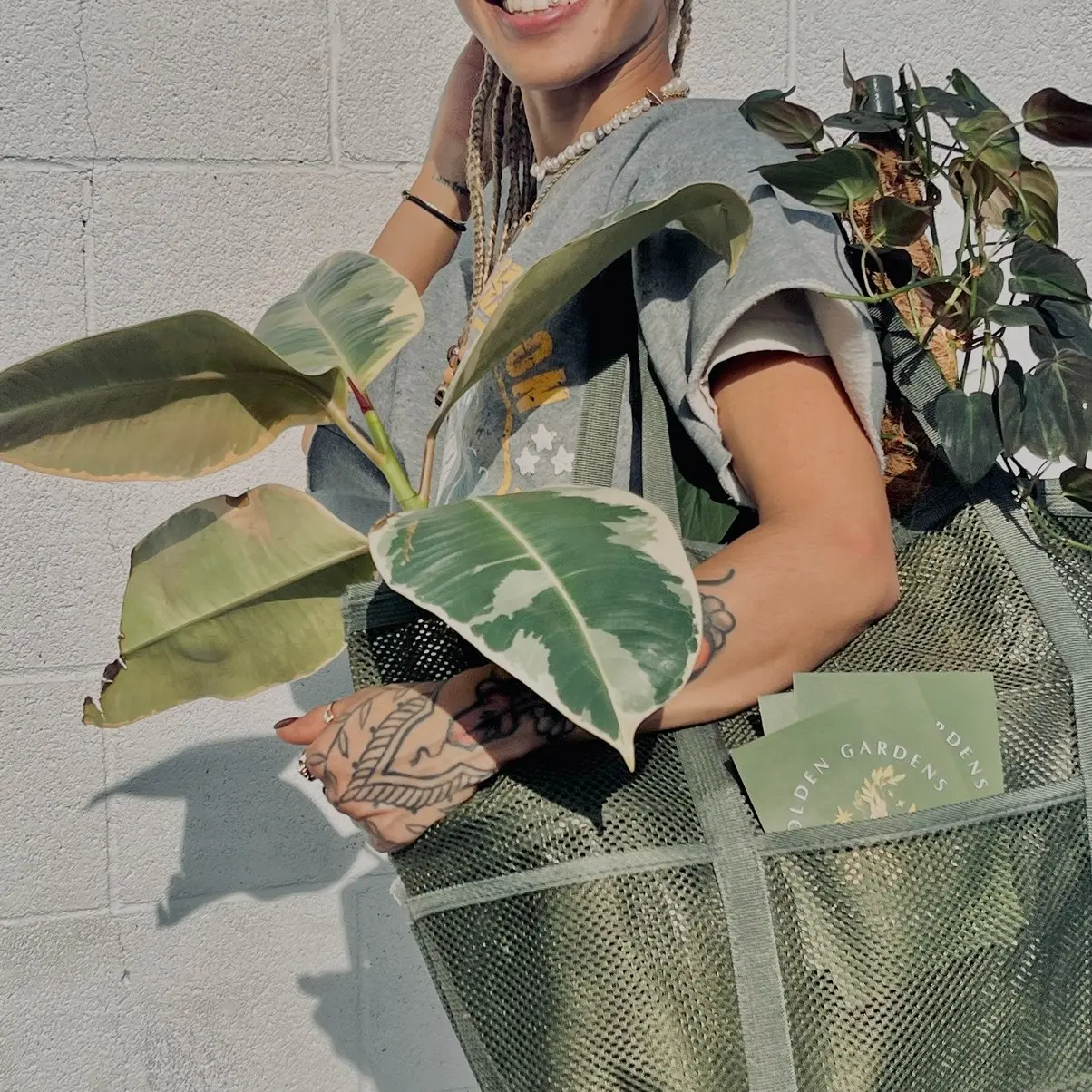 Golden Gardens Mesh Tote Bag - Versatile Durable Mesh Carrier for Plants, Key Pockets, Pen Slots & Sturdy Construction