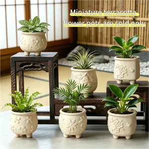 Mini 2.56mm diameter terracotta planters, 6-pack - can be DIY-painted to create a unique look, perfect for indoor and outdoor plants, with drainage holes at the bottom. Perfect mini terracotta planters, a must-have for gardeners, enhancing the beauty