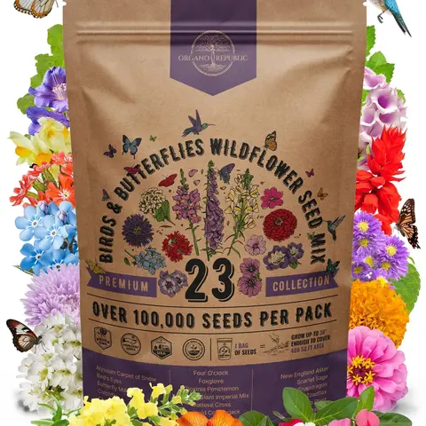 23 Wildflower Seeds Annual & Perennial Mix for Indoor & Outdoors, Attract Birds & Butterflies 100,000+ Non-GMO, Heirloom Garden Seeds, 4oz Packet for Growing Wild Flowers