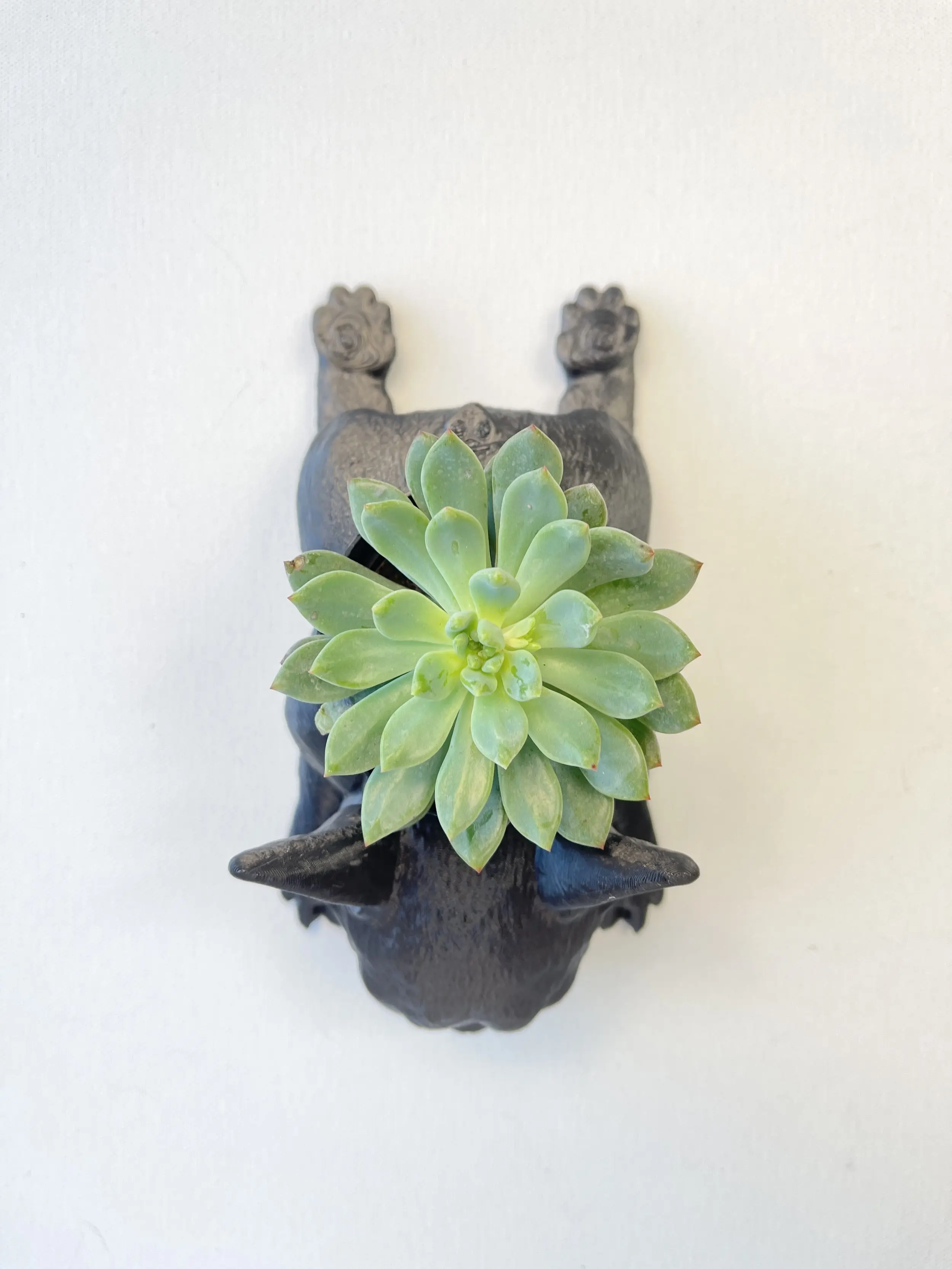 CALIDOG French Bulldog Planter for Indoor and Outdoor Use
