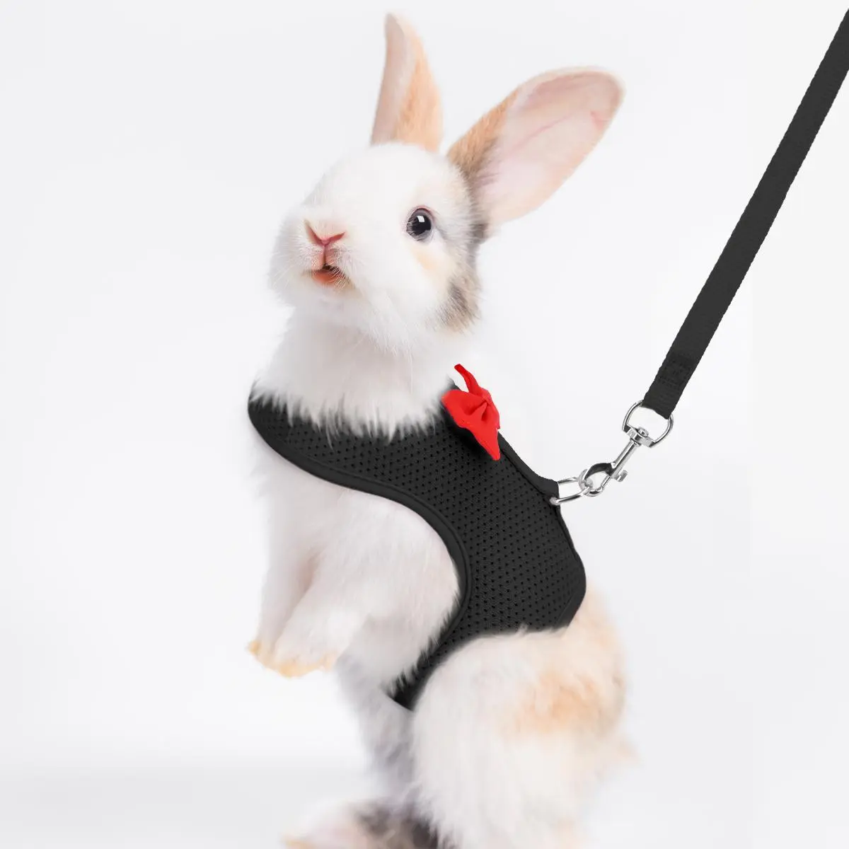 Small Pet Chest Harness Set, Rabbit Dutch Pig Small Dog Cat Vest Leash, Heart-Shaped Tie Rope, Pet Supplies