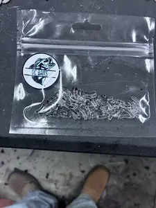 .5 maggots Complete Fishing